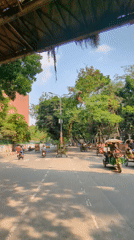 Morning bicycle transport activity documented across Dhaka streets