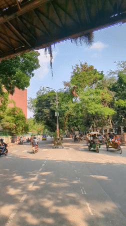 Morning bicycle transport activity documented across Dhaka streets