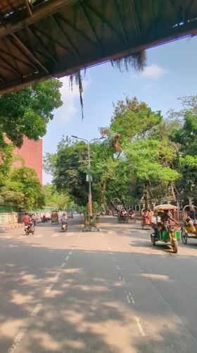 Morning bicycle transport activity documented across Dhaka streets