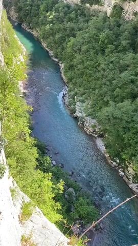 The video captures a scenic, high-angle view of a vibrant blue-green river flowing through a deep canyon or gorge. The camera is positioned on a steep, rocky cliff edge, looking down into the valley.

The river itself is a striking feature, with remarkably clear, turquoise water in shallower sections, revealing the rocky riverbed below. In deeper parts, the water transitions to a richer, darker blue, indicating depth and movement. White rapids and ripples are visible where the water flows faster, particularly around bends and over submerged obstacles.

Both sides of the canyon are densely covered with lush, green deciduous trees and shrubs, extending from the riverbanks up the steep slopes. The foliage appears vibrant, suggesting a warm season like spring or summer. The immediate foreground shows a small patch of dirt and some sparse green plants, including a few small white daisies, growing on the cliff edge. Thin, dry branches protrude over the edge, framing the view slightly.

The scene is brightly lit by natural daylight, indicating clear and sunny weather. While no people are visible, faint human voices speaking in what sounds like a Slavic language can be heard in the background, along with the continuous, soothing sound of the flowing river. The location is Vlahovići, Montenegro, known for its dramatic landscapes and clear waters.