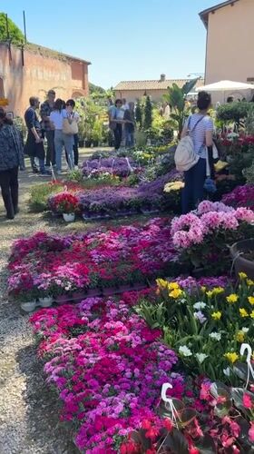 Outdoor flower and craft market draws shoppers in Rome