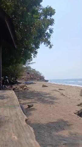 A beach scene unfolds. In the foreground, a concrete ledge with a rough texture occupies the bottom left corner, casting a shadow. A large tree with green foliage extends from the upper left, shading a portion of the scene. Beneath the tree, a few parked motorcycles are visible. A sandy beach stretches towards the right, meeting a body of water where gentle waves are present. The sky is clear and light blue. Some concrete structures and rocks are scattered along the shoreline.