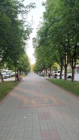 This is a vertical video clip filmed on a sunny day in Sarny, Ukraine. The scene is a picturesque tree-lined pedestrian walkway. Tall, mature trees with lush green foliage create a canopy overhead, casting dappled shade on the brick-paved path. The walkway is illuminated by lampposts placed along its edges.

Several people are visible enjoying the pleasant atmosphere. On the left side, a woman sits on a bench, facing away from the camera, appearing relaxed. Further down the path, more individuals can be seen strolling or sitting on benches, some with children. A stroller is visible on the right side, suggesting families are out for a walk. Cars are parked along the street on the left, bordering the grassy area.

The time of day appears to be late afternoon or early evening, indicated by the soft, warm light filtering through the trees. The sky is clear and bright, suggesting fair weather. The overall mood is peaceful and serene, with a sense of community and leisure. No discernible text is visible in the frame. The location, Sarny, Ukraine, places this scene within a Ukrainian context, likely a park or a well-maintained urban promenade.