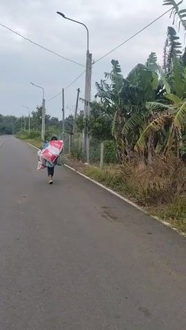 A person wearing a dark baseball cap and beige sandals walks along a paved road carrying two large bags on their back. The bags are primarily red and white, with one appearing to have a graphic of a person on it. The person is wearing a blue shirt and dark pants. They are walking away from the camera, towards the left side of the frame. The road is bordered by a grassy area and a chain-link fence with concrete posts. Beyond the fence, there are trees and vegetation, including what appear to be banana trees. The sky is overcast. There are utility poles with wires running along the side of the road. The overall environment appears to be rural or semi-rural.