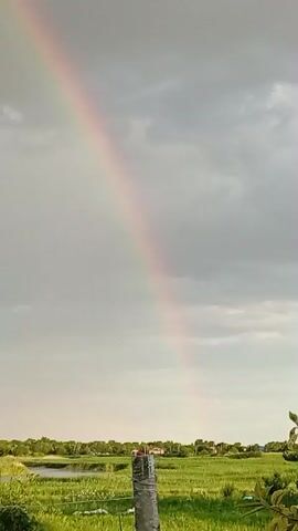 This is a vertical, low-angle, handheld shot of a rural landscape with a rainbow arching across a cloudy sky. The foreground features a concrete fence post with a red object on top, possibly a small house or birdhouse. Beyond the fence, a flat green field stretches to a body of water on the left and a line of trees and buildings on the horizon. The sky is overcast with dark clouds, but a vibrant rainbow with visible bands of color cuts diagonally from the upper left to the lower right. The light suggests either early morning or late afternoon. There is no visible text in the image. The scene evokes a sense of natural beauty after a storm.