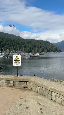 The video shows a scenic view of a harbor with boats docked. In the foreground, a stone wall and sidewalk are visible. A yellow triangular warning sign with a lightning bolt symbol is prominently displayed on a post. A person is sitting on the wall overlooking the water. In the middle ground, numerous sailboats are moored in the harbor. The background features a lush, tree-covered mountainside and a body of water under a partly cloudy blue sky. A seagull is seen flying in the upper right portion of the frame.