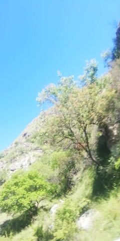 This is a first-person view video of a person descending a grassy slope near a rocky cliff face. The sky is clear and blue. There are several trees scattered along the slope. Near the bottom of the slope, a sign with white text on a maroon background is visible. The text appears to be in English and mentions "Terrace." The camera is tilted at an angle throughout the recording, and the footage is somewhat shaky.