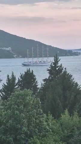A large, four-masted sailing ship moves across a body of water. The ship is white with a blue stripe along its hull and has multiple tall masts with rigging. It appears to be sailing, though no sails are visibly deployed. The water is calm and reflects the cloudy, pastel-colored sky. On the left side of the frame, a lush, tree-covered hillside slopes down towards the water. In the foreground, dense green foliage, including trees with dark green needles and lighter green leaves, partially obscures the view of the ship and the hillside. The overall lighting suggests it might be late afternoon or early evening. No people are clearly visible on the ship or in the immediate surroundings.