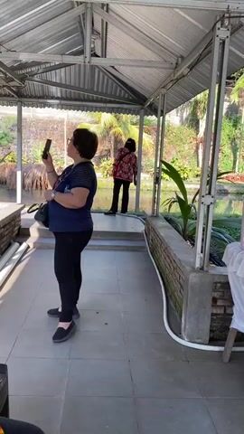 The video begins with a view of two women standing on a tiled patio beneath a metal roof. The woman in the foreground, wearing a blue shirt and black pants, is holding a smartphone in her right hand and appears to be taking a photo. The woman in the background, wearing a patterned shirt and dark pants, is facing away from the camera. Beyond the patio is a body of water, lush green foliage, and buildings. The scene then shifts to a food serving area set up outdoors. A long table is covered with a white tablecloth, laden with numerous white bowls filled with food. A large plastic container filled with what appears to be crackers or chips sits at the back of the table, along with various condiments. A woman wearing a red hijab and a blue shirt is seen carefully arranging food in the bowls. She is wearing clear plastic gloves, indicating food preparation. Another person, partially visible in the background and wearing a black head covering and a grey baseball cap, is also present near the food table. A chicken is visible in the grassy area behind the table. The sunlight suggests it is daytime. The overall environment appears to be an outdoor event or gathering, possibly a meal service.