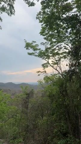 The camera pans across a lush, green hillside with trees in the foreground, revealing a view of distant mountains and a cloudy sky with a hint of sunset. The sky is mostly overcast, with shades of gray and white. The mountains in the distance appear to be covered with vegetation, and a faint line of what appears to be the horizon can be seen beyond them. The trees in the foreground are dense, with a mix of green foliage and some bare branches. The lighting is soft and subdued due to the overcast sky. The camera slowly pans from left to right. There is conversation in the background.