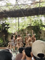 Morning animal shows and cultural performances draw crowds at Davao Crocodile Park