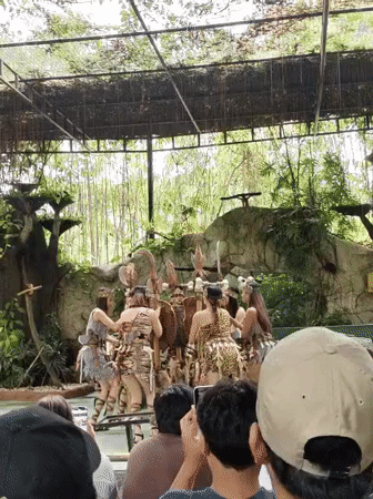 Morning animal shows and cultural performances draw crowds at Davao Crocodile Park