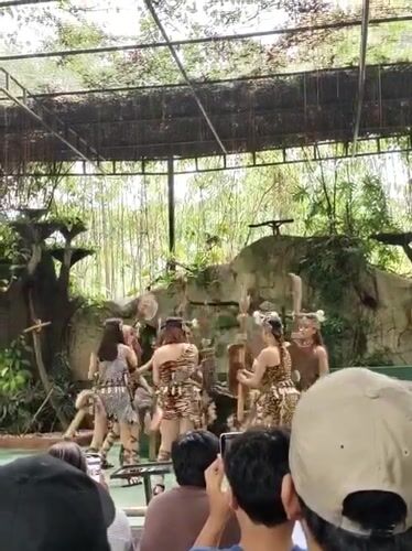 Morning animal shows and cultural performances draw crowds at Davao Crocodile Park