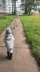 Pigeons swarm a toddler on a Chaikovsky morning