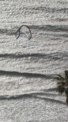 Kitesurfing kite spotted floating over ocean near Bat Yam