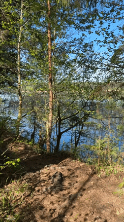 Person sits by forest lake in Votkinsk, Russia