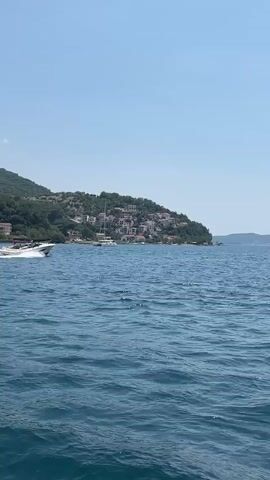 A motorboat speeds across the deep blue water, leaving a white wake behind it. In the distance, a hillside is dotted with buildings, their pale walls contrasting with the lush green trees. A sailboat is anchored near the shore. The sky is clear and bright, suggesting a sunny day. The scene appears to be a coastal area, likely in a warm climate. The overall mood is one of leisure and perhaps adventure, with the speed of the boat hinting at a dynamic experience.