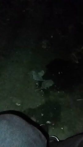 A person with dark pants and sneakers is standing in a dark, wet area, looking down at a small object on the ground. The object is dimly lit by a light source off-screen to the right. The person then moves away and the light source is turned off, leaving the scene in complete darkness.