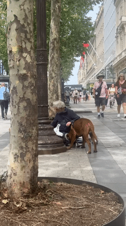 Adidas football takeover and street scenes in Paris