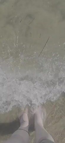 This media file shows a first-person perspective of someone standing in shallow, clear water. The bottom appears to be sandy with some scattered dark strands, possibly seaweed or debris. The water is calm with gentle ripples on the surface. The feet are visible in the lower part of the frame, submerged in the water, suggesting a beach or coastal setting. The sunlight creates a shimmering effect on the water. The overall impression is one of a peaceful, serene moment in a natural aquatic environment. There is no visible text in the media file.