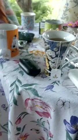 The video shows a table set with various items, including a patterned teacup filled with tea, a teapot, a bowl of snacks, and other miscellaneous objects. The table is covered with a floral-patterned tablecloth. The scene appears to be outdoors, possibly on a porch or patio, with greenery visible in the background. There are no visible people in the video. The camera is positioned above the table, looking down at the scene.