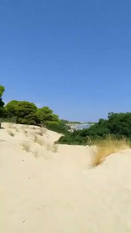 This is a handheld vertical video of a sandy beach with dunes. The sky is clear and blue. Green trees and vegetation are visible on the left and right sides of the frame, with a sandy path leading towards the ocean. The ocean is calm and blue, with a few people in the water and on the beach. There is a small blue umbrella on the beach and a trash can.