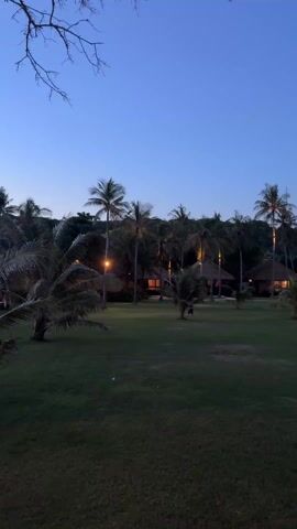 The video shows a tropical resort scene at twilight. Palm trees dot a large grassy lawn, with small, thatched-roof bungalows visible in the background. Some of the bungalows have lights on, adding a warm glow to the scene. A few people are walking in the distance. The sky is a clear, deep blue, hinting at the dusk setting.
