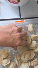 Dumplings, dialysis, and a cat in Chaikovsky