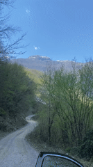 Man observed with vehicle in Montenegro forest area