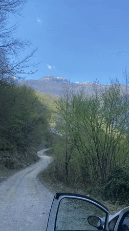 Man observed with vehicle in Montenegro forest area