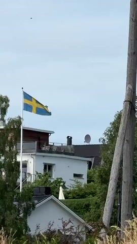 A Swedish flag flies atop a white pole, gently swaying in the breeze. Behind the flag, a white building with a brown second-story section and black chimney is visible, along with a satellite dish on its roof. In the foreground, green trees and a field of dry grass are visible. The sky is overcast and light blue.