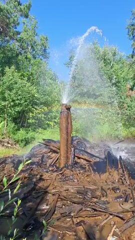 The video shows a geyser of water erupting from a wooden structure in a natural setting. The geyser shoots a stream of water upwards, creating a mist that refracts light into a faint rainbow. The wooden structure appears to be old and is surrounded by debris, possibly remnants of logs or branches. Lush green trees and a bright blue sky form the backdrop, indicating an outdoor, possibly forested, environment. There are no people visible in the frame.