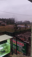 Quiet morning scenes around a rural home in Bocek, Indonesia