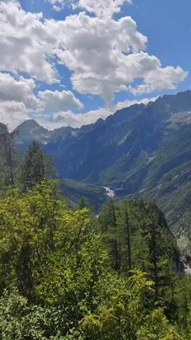 The video shows a vast mountainous landscape. In the foreground, lush green trees and foliage are visible, with some taller pine trees interspersed. Beyond the trees, a deep valley stretches out, with a river or body of water visible in the distance. The valley walls are steep and covered in dense green forests. In the background, majestic, rugged mountains rise, their peaks partially obscured by clouds. The sky is a clear blue with fluffy white clouds scattered across it. The overall impression is one of natural beauty and grandeur. The camera appears to be panning or tilting slightly, offering a panoramic view of the scenery. There are no people or man-made objects visible in the frame. The lighting suggests it is daytime, likely sunny.