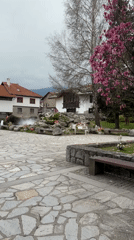 Spring blossoms captured in Bansko public square