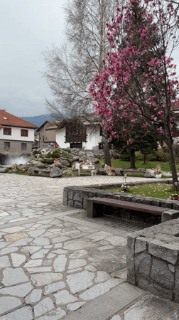 Spring blossoms captured in Bansko public square