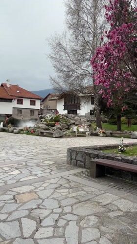 Spring blossoms captured in Bansko public square