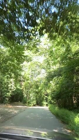 A video shows a point-of-view shot from a vehicle driving down a paved road through a dense forest. The sun is shining, dappling the road with light and shadow. Tall trees with lush green leaves line both sides of the road, forming a canopy overhead. The road appears to be in good condition and there are no other vehicles visible. The video is shot in landscape orientation.