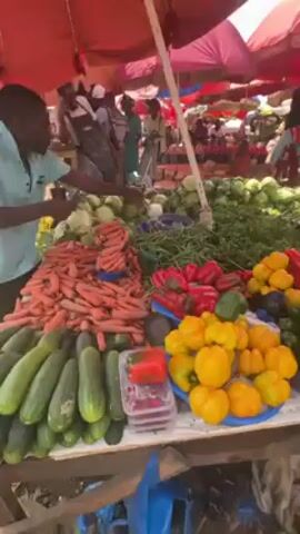The video showcases a vibrant outdoor market scene, teeming with people and colorful produce displayed under a series of red and white umbrellas. The foreground is dominated by a stall laden with fresh vegetables, including carrots, zucchini, green beans, and an array of bell peppers in red, yellow, and green. Behind the stall, the market extends further with numerous vendors and customers engaging in transactions. The atmosphere appears bustling, suggesting a lively marketplace environment.
