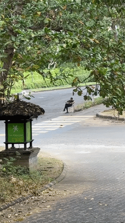 Morning street life and maintenance underway in Kuta Selatan, Bali