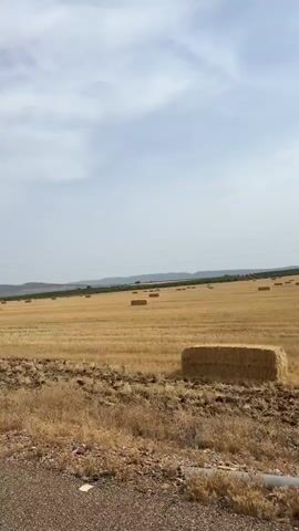 This media file captures a panoramic view of a vast, harvested agricultural field under a bright, overcast sky. Rectangular bales of straw are scattered across the golden-brown stubble, indicating recent harvesting activity. The field is vast, stretching towards a distant treeline and rolling hills that form the horizon.

In the mid-ground, a prominent power line tower stands tall, a man-made structure contrasting with the natural landscape. The sky is a pale blue with soft, scattered clouds, suggesting a pleasant, though not intensely sunny, day. The overall impression is one of rural tranquility and agricultural bounty. The scene is set in Nogales, Spain. There are no people visible in the media file. The time of day appears to be daytime, possibly late morning or early afternoon given the ambient light. The weather seems calm.
