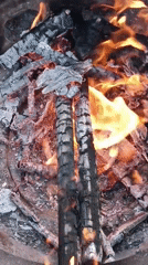 Backyard gathering with fire pit and dog in Viadana