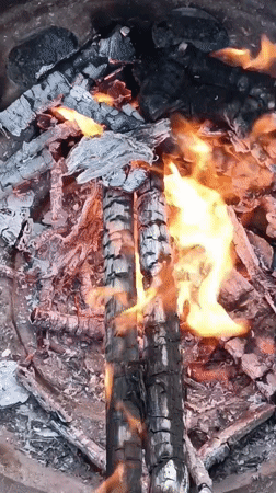 Backyard gathering with fire pit and dog in Viadana