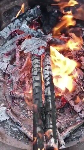 Backyard gathering with fire pit and dog in Viadana