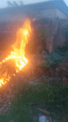 Afternoon life in Sabon Tasha: kids, fires, and backyard nature