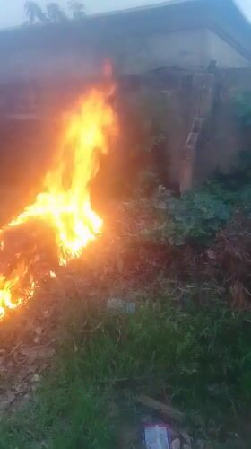 Afternoon life in Sabon Tasha: kids, fires, and backyard nature