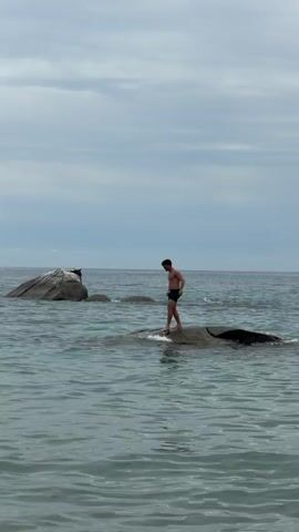 A lone person stands on a rock in the ocean, looking down at the water. The sky is cloudy and the ocean is calm. There are other large rocks visible in the background. The person is wearing dark shorts and is facing away from the camera. The video lasts for four seconds and shows the person shifting their weight slightly.