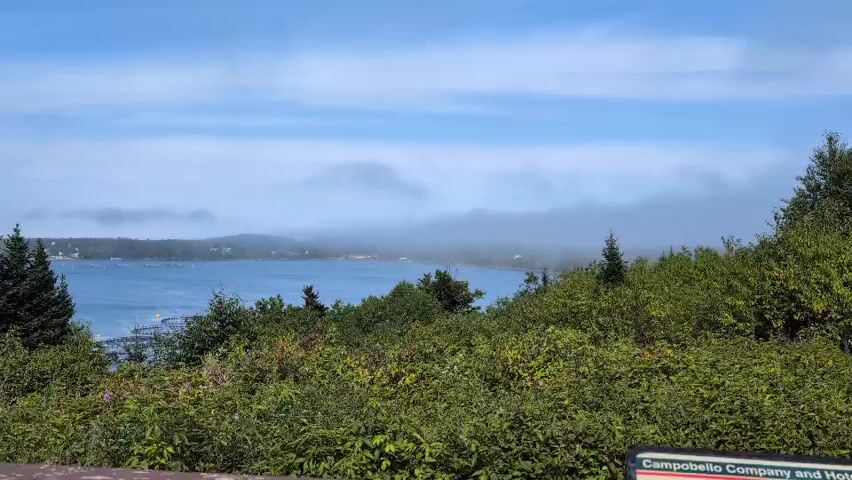 A wide shot shows a hazy coastal landscape under a bright blue sky with wispy clouds. In the foreground, lush green bushes and trees dominate the lower half of the frame, with some taller evergreen trees visible on the left. A wooden railing or bench edge is visible at the bottom of the frame. Beyond the foliage, a calm body of water stretches into the distance, meeting a misty shoreline where buildings and more trees are faintly visible through the fog. Small boats and dock structures can be seen in the water on the left side of the frame. The scene suggests a scenic overlook of a bay or harbor on a partly foggy day.