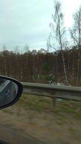 The video shows a view from a car window, looking out at a landscape. A metal guardrail runs horizontally across the middle of the frame. Beyond the guardrail, a body of water is visible, with trees lining its edge. The trees are bare, without leaves. The sky is overcast. The car's side mirror is visible in the lower right corner of the frame. The car appears to be moving.