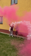 Pink smoke grenade deployed during photo session in Skidzieĺ